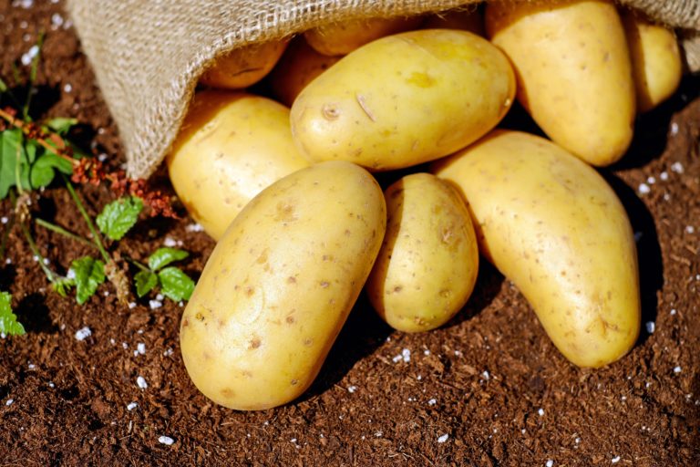 Interventions to Enhance Access to Potato Seeds in Kenya