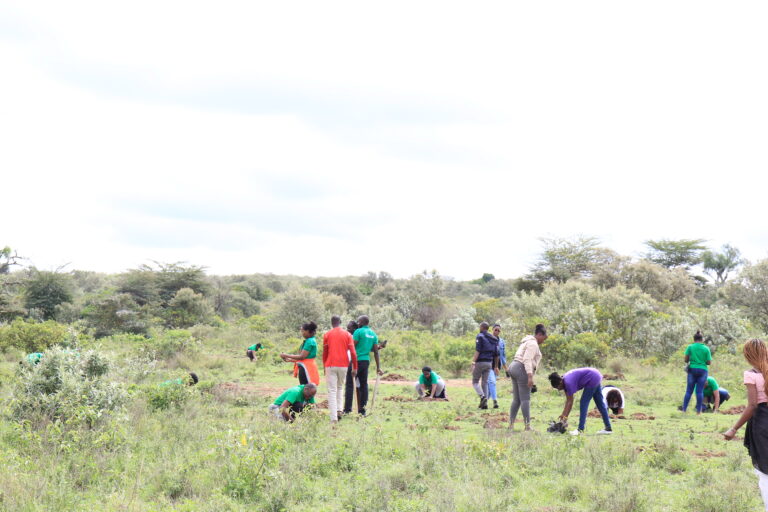 KIPPRA Staff plant trees at the Naivasha Game Farm